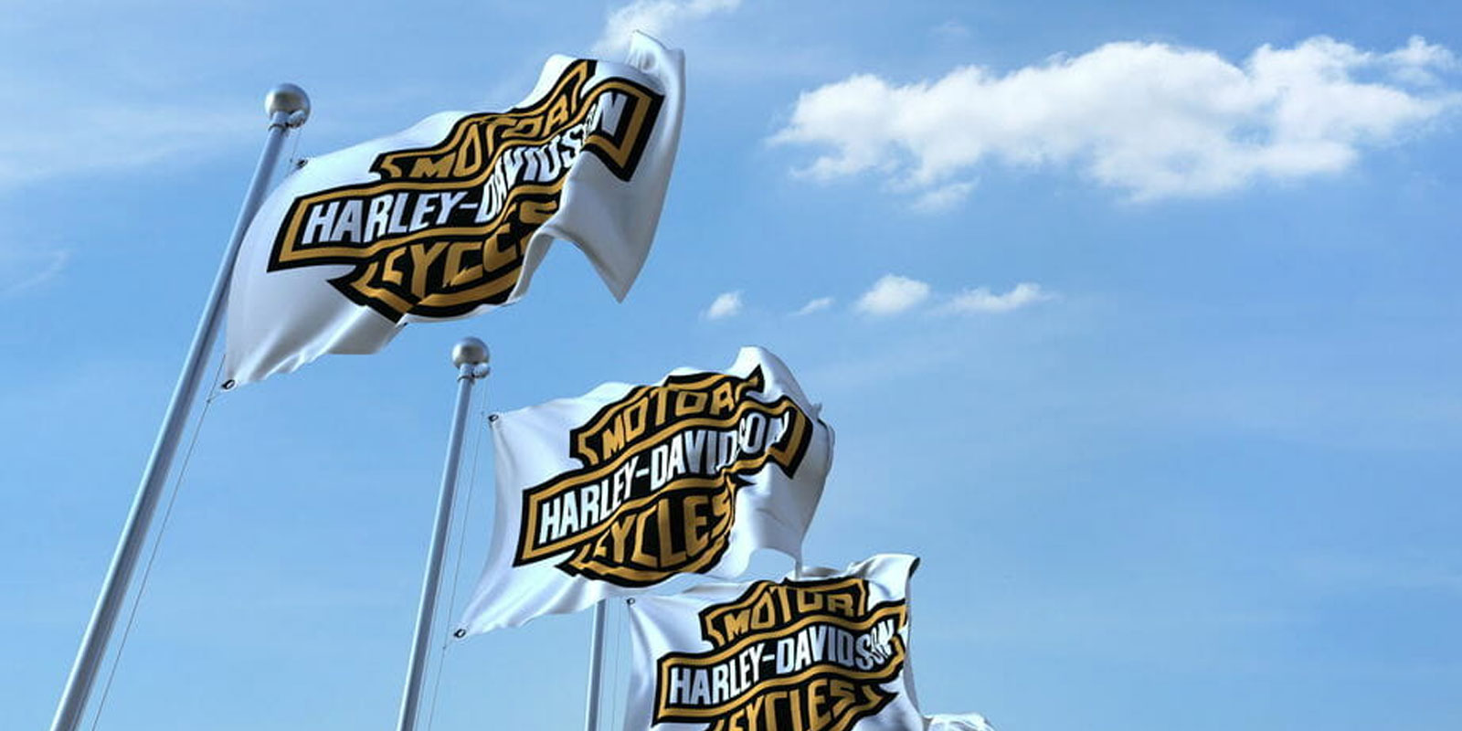 HarleyDavidson Recalls Nearly 44,000 Bikes for Faulty Brakes