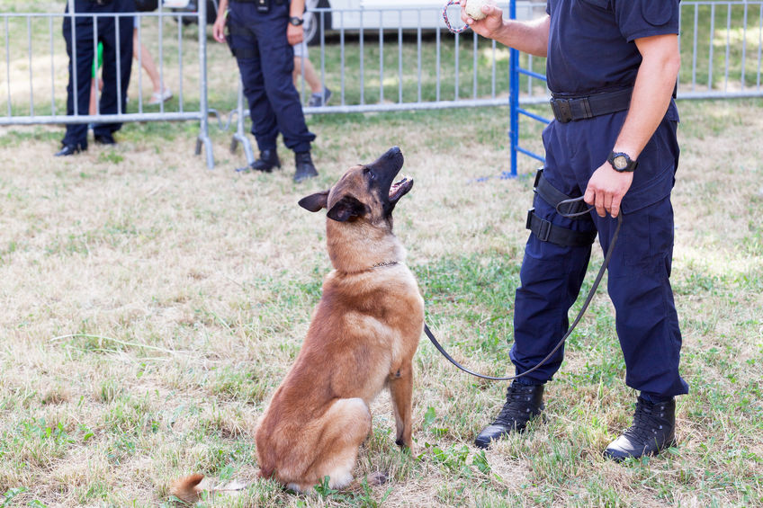 do drug dogs violate your constitutional rights