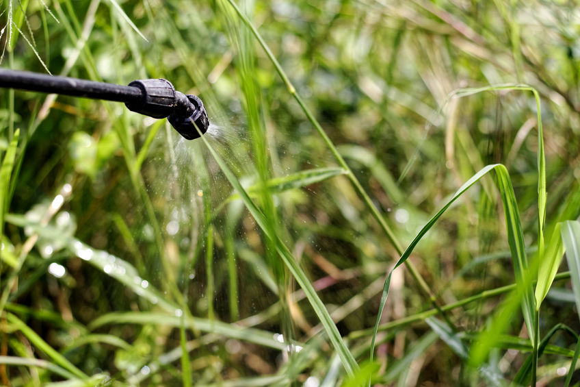 Individuals are pursuing a Paraquat lawsuit after being exposed to the herbicide and allegedly developing Parkinson's after exposure.