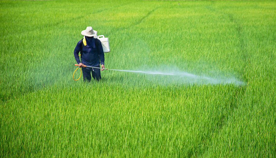 Due To The Dangers Of Paraquat Exposure, It Is Necessary To Have A Paraquat Certification In Order To Use The Herbicide.