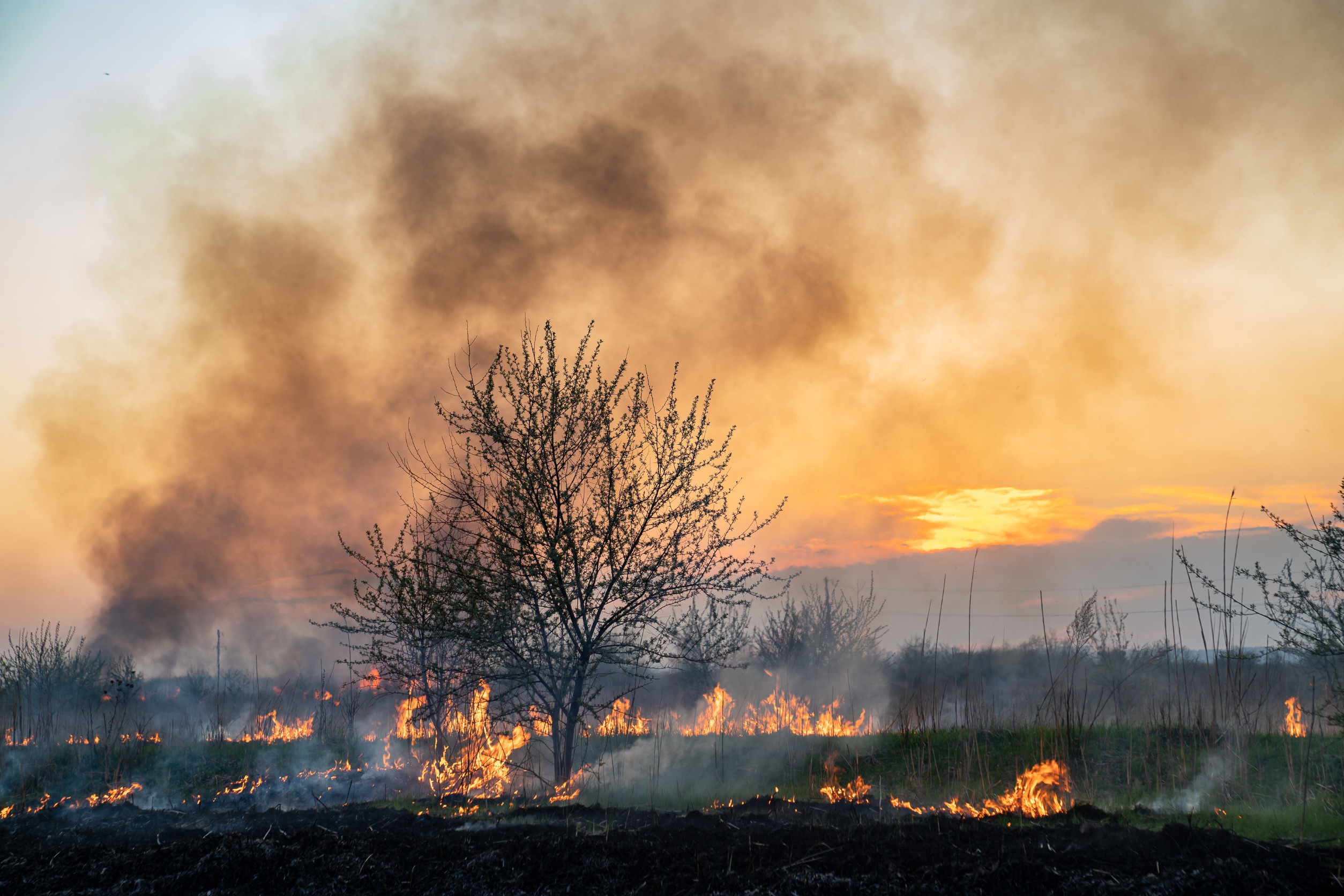 Plaintiffs were impacted by PacifiCorp's 2020 wildfire and are going through a $1.6 billion lawsuit to prove that the utility company was responsible for the impact.