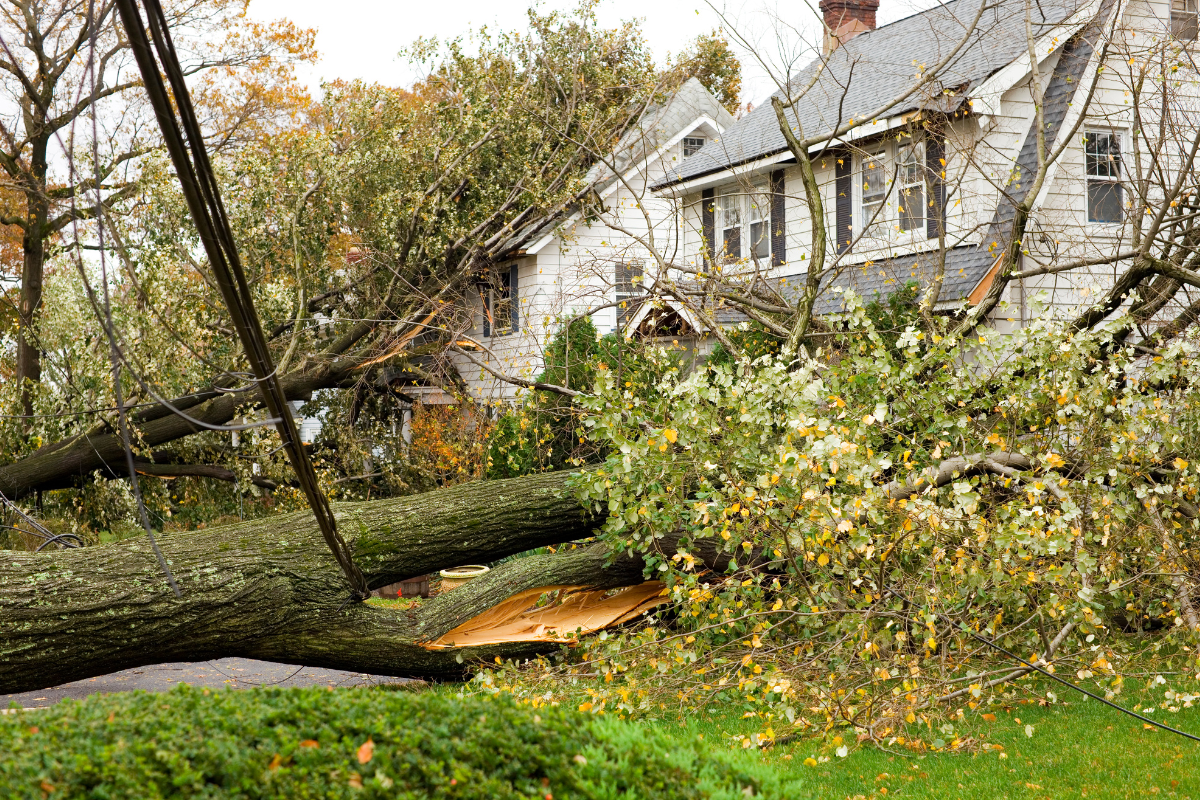 Storm Damage Lawyer in Texas