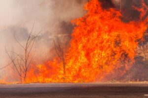 Texas Panhandle Wildfire Lawsuit Lawyer