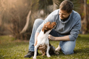 Responsible dog owner