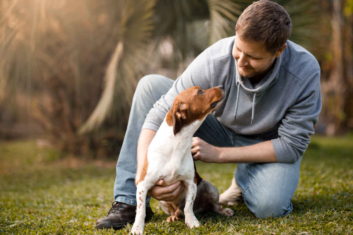 Responsible dog owner