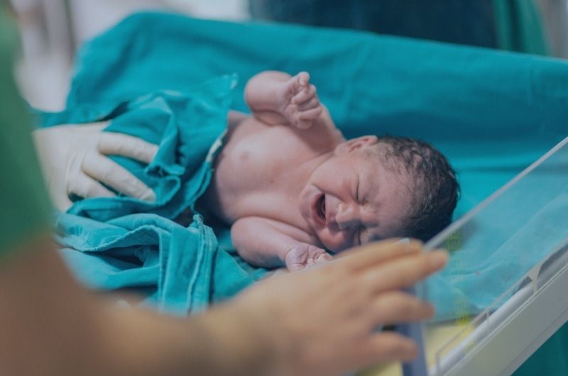 brachial plexus lawyer