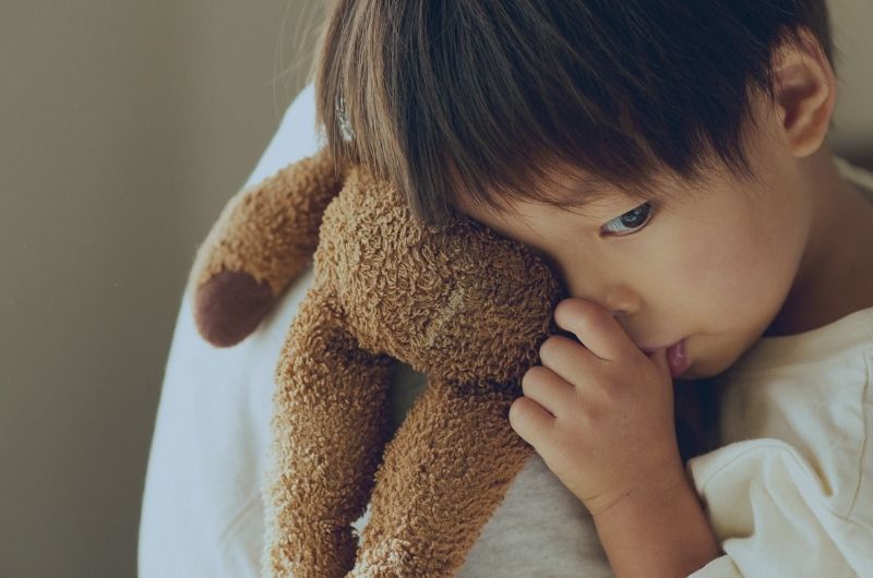 Hobby Lobby plush toy recall