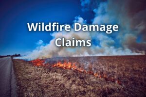 Wildfire damage burning a field.