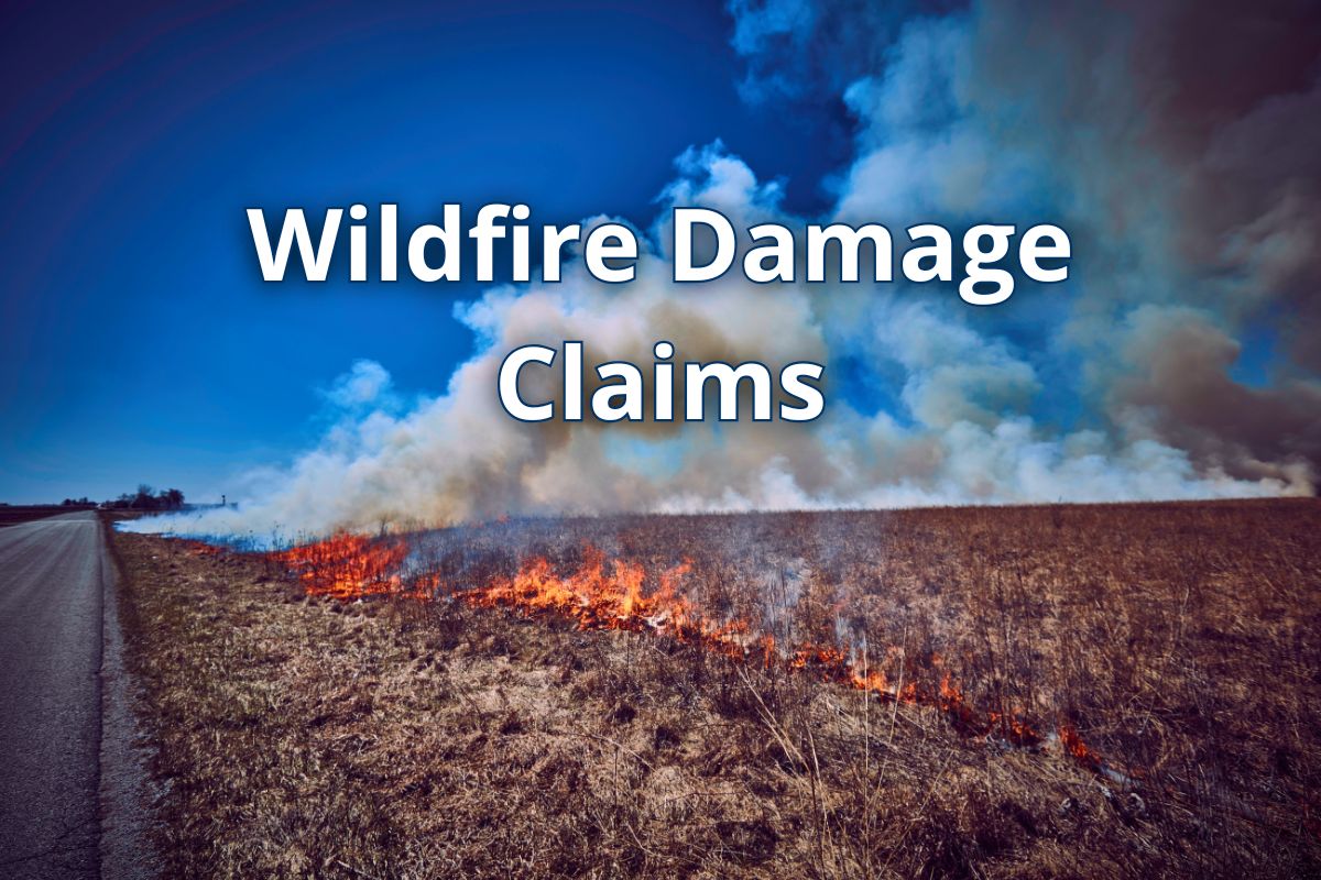 Wildfire damage burning a field.