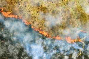 Smoke and burning field as a result of wildfire destruction.