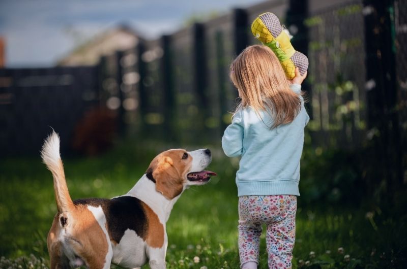 Child playing with dog