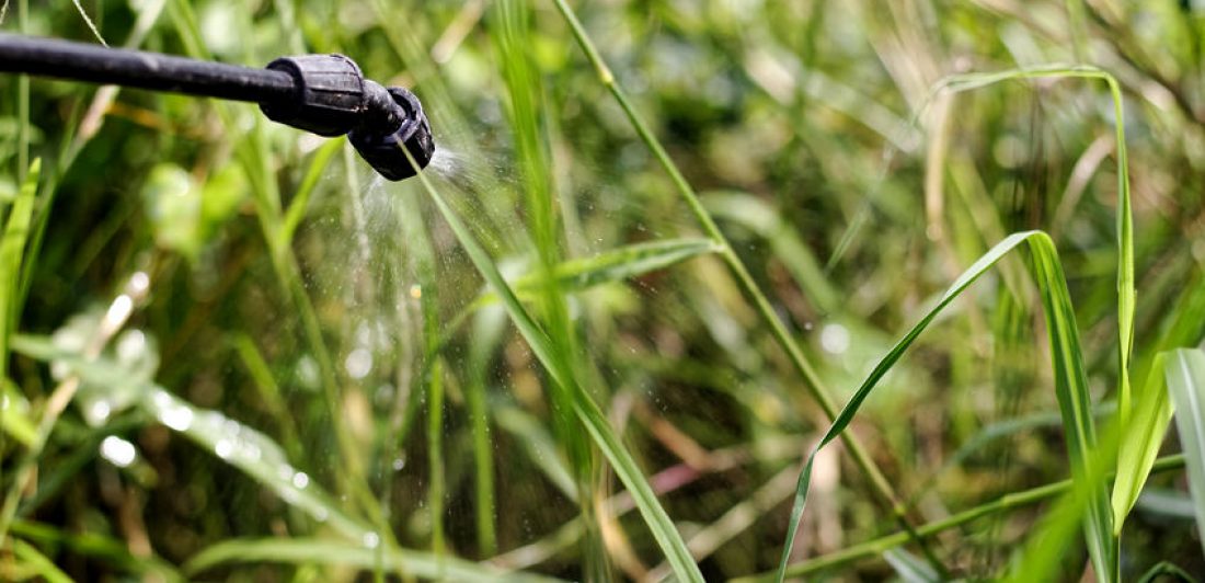 Image of person treating grass with herbicide