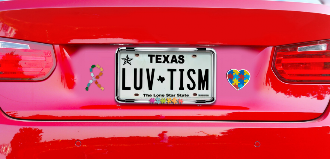 Safe Driving with Autism