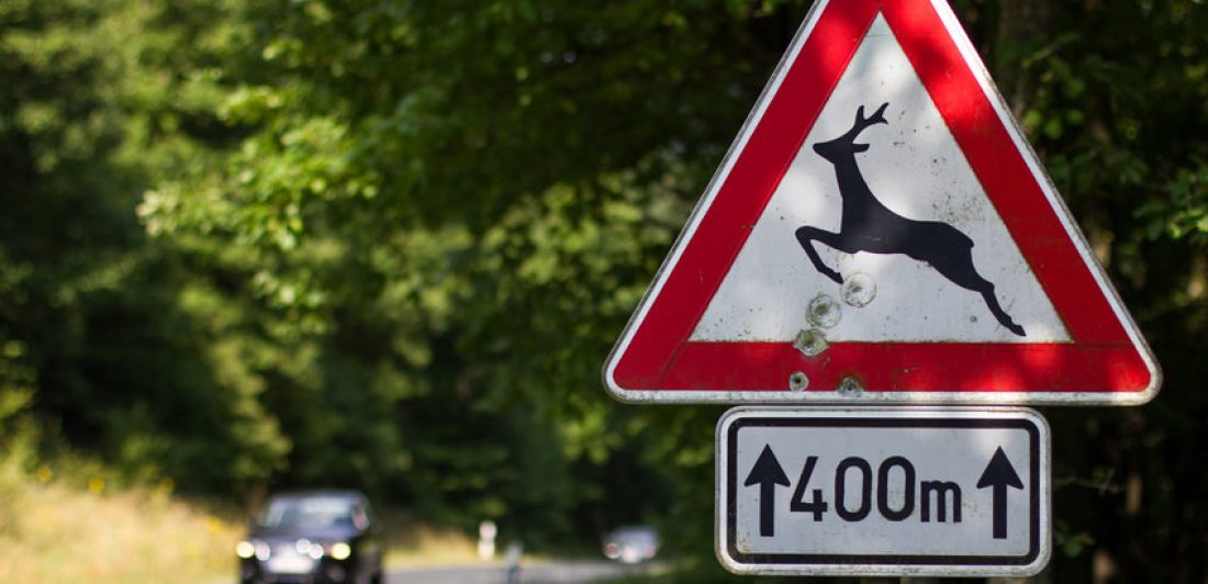 german deer sign Image of deer crossing sign