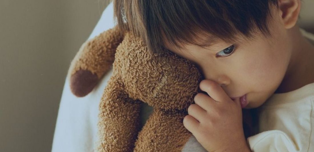 Hobby Lobby plush toy recall