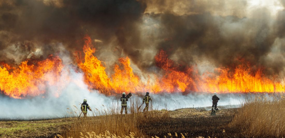 Raging forest spring fires. Burning dry grass, reed along lake. Grass is burning in meadow. Ecological catastrophy. Fire and smoke destroy all life. Firefighters extinguish Big fire. Lot of smoke Image of firefighters battling a large forest and brush fire